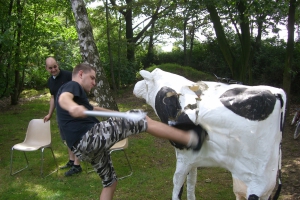 Fackelrenovierung 2007